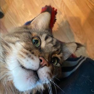 Meet your Posher, Max j